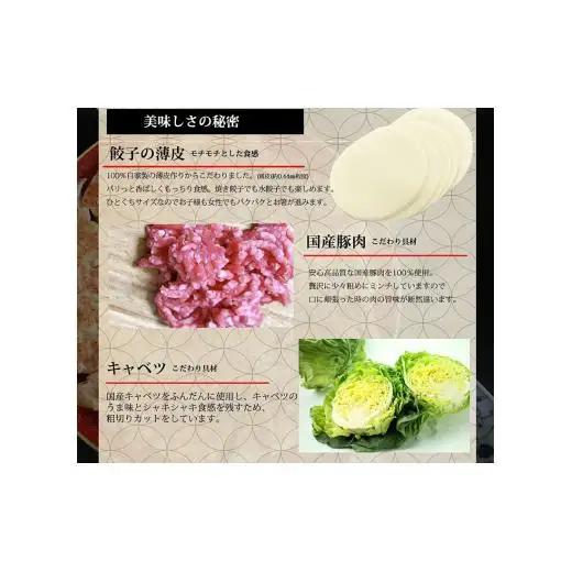 長崎角煮まんじゅう×6個と長崎一口餃子×54個 餃子 E172