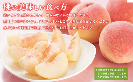 【先行予約】桃 約 2kg もも モモ 白桃 ピーチ 桃 桃 桃