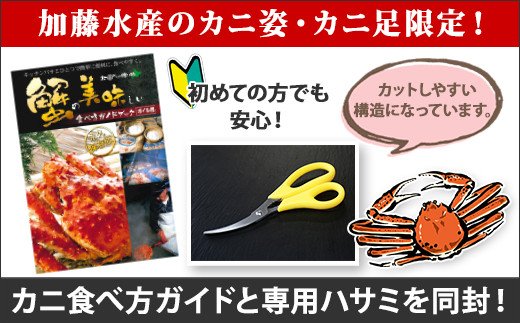 1109. ボイルズワイガニ足 5kg 約10-12人前 食べ方ガイド・専用ハサミ付 カニ かに 蟹