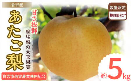 あたご梨 【倉吉産】 ５ｋｇ（倉吉市果実農業共同組合） 梨 あたご梨 なし 鳥取 5kg 果物 フルーツ 和梨 先行予約 数量限定 詰め合わせ 甘い ジューシー 大玉 やわらかい 人気 梨 梨 梨 梨 梨 梨