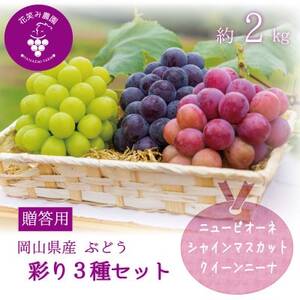 岡山　花笑み農園『彩り3種セット』(シャイン、クイーンニーナ、ピオーネ)(3房)　贈答用　3M-2上【配送不可地域：離島・北海道・沖縄県】【1626700】