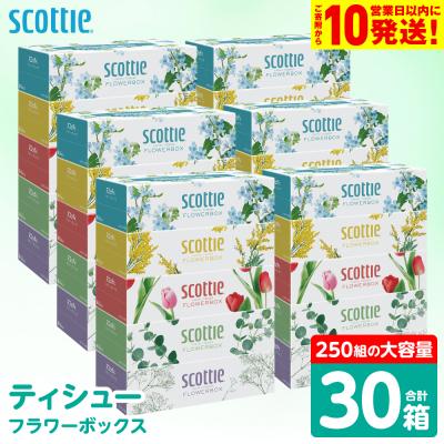 ふるさと納税 八代市 ティッシュ 250組 30箱 フラワーボックス  日用品 スコッティ_186-6427
