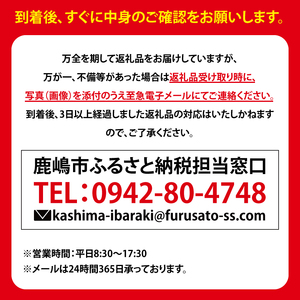 【先行予約】コシヒカリ１０kg　鹿嶋市産【こしひかり 茨城県 鹿嶋市 30000円以内】（KDS-2）