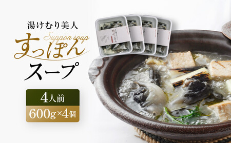 湯けむり美人すっぽんスープ　4人前｜和風惣菜 食品 人気 コラーゲン 栄養 伝統 日本料理 煮込み 温まる 冬季 スープ料理 だし 焼岳すっぽん HE005