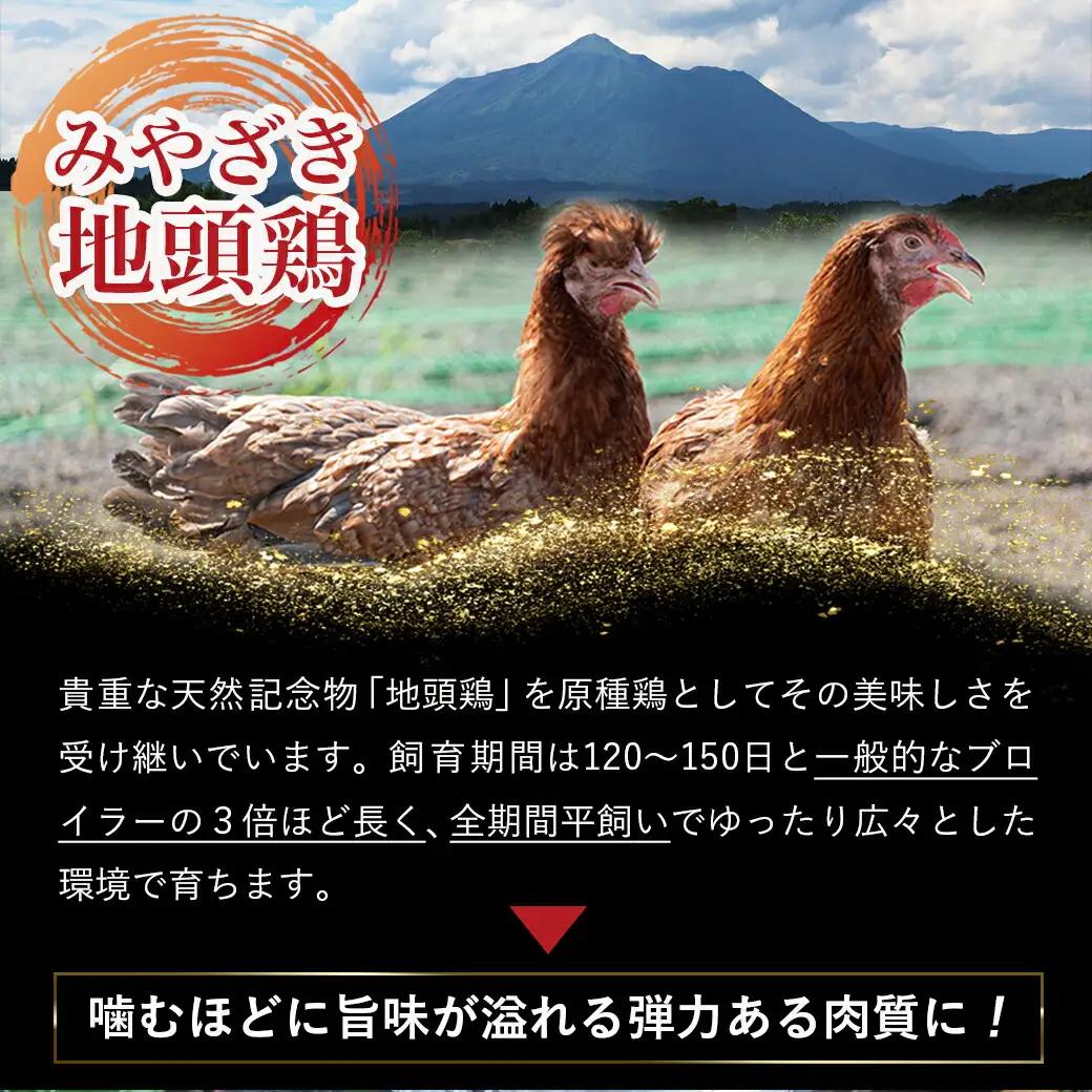 「みやざき地頭鶏」カット済!モモ・ムネ(300g×3)〔13-J7-008〕_(都城市) 真空パック 地頭鶏 じとっこ ソテー/唐揚げ/バーベキュー用/鍋の具材
