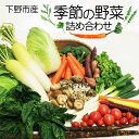 【ふるさと納税】下野市産 季節の 野菜 詰め合わせ | 野菜 詰め合わせ セット 新鮮 栃木県 特産品 下野市 しもつけ市