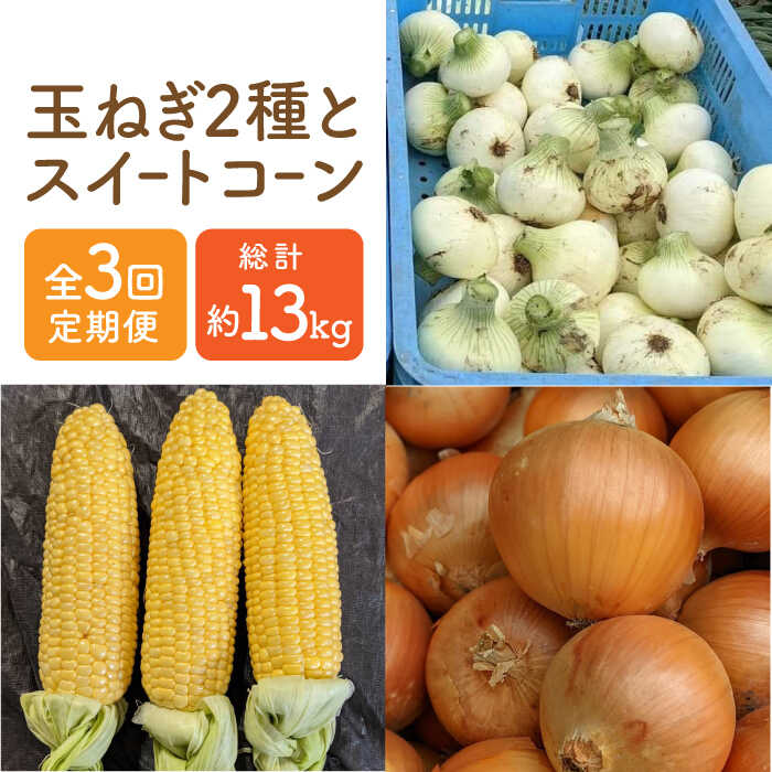 【ふるさと納税】 【先行予約】 【全3回】 農家直送！玉ねぎとスイートコーンの定期便【玉葱農家 陣内ちひろ】 新たまねぎ タマネギ 玉葱 とうもろこし 野菜 佐賀県 白石町 [IAO015]