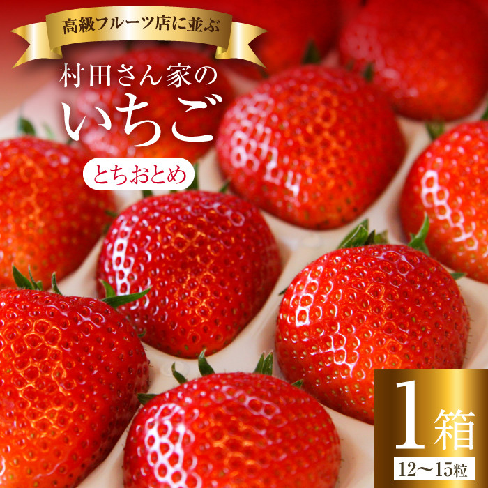 
村田さん家のいちご【とちおとめ】1箱／12～15粒《1～4月上旬発送》
