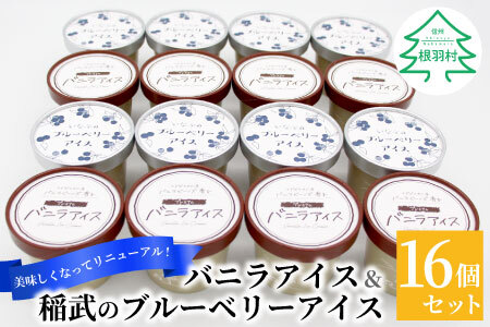 バニラビーンズ香る！バニラアイスクリーム＆いなぶのブルーベリーアイス 16個セット 10000円 アイスクリーム ブルーベリー