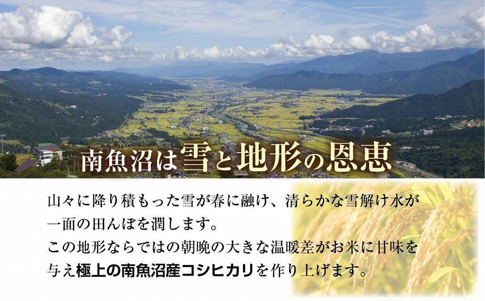 新潟県 南魚沼産 コシヒカリ 【従来品種】塩沢地区 お米 2kg  ×2袋 計4kg精米済み（お米の美味しい炊き方ガイド付き）