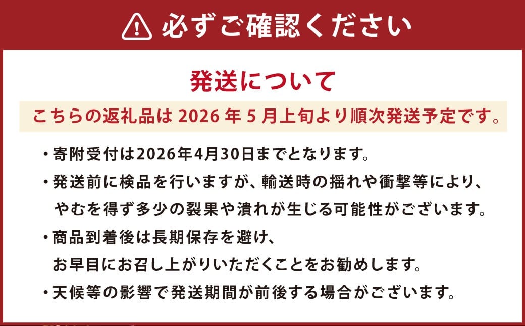 蘇鉄嶋（桃太郎トマト） 約1kg 