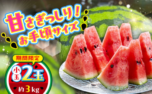 【数量限定】小玉すいか　2玉入り　約3kg【日本フルーツ株式会社】 [AYDA002]