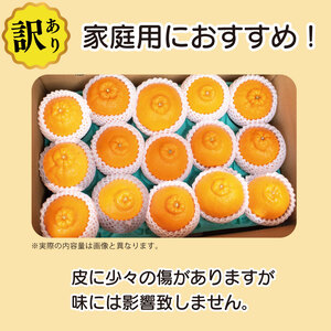 訳あり 不知火 約2.3kg 8個入り しらぬい 不知火 みかん ミカン ミカン