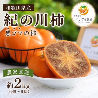 ふるさと納税 紀の川市 【2026年10月中旬以降発送】紀の川柿約2kg　和歌山県特産希少な柿!