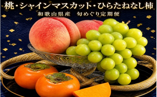 
                  【3回定期便】【7・9・10月】夏と秋を味わうフルーツ定期便 (桃・マスカット・柿)【tkb370】
                