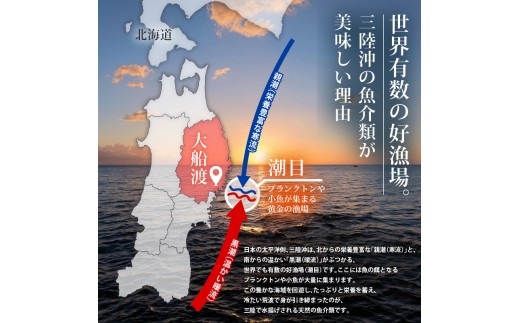 訳あり 箱入りあわび 4個セット 各2個(メキシカンチリスープ風 白ワイン煮風) 缶 鮑 アワビ 翡翠鮑 養殖 缶詰 保存食 防災 非常食 常温保存 長期保存 簡単 お手軽 惣菜 ごはん 夕飯 おかず おつまみ 晩酌 米 贈答品 お中元 お歳暮 家庭応援 応援 大船渡 三陸 岩手県 国産
