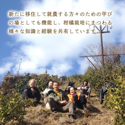 ふるさと納税 松山市 【10月から順次発送】 レモン 2kg (14〜18玉) |  | 03