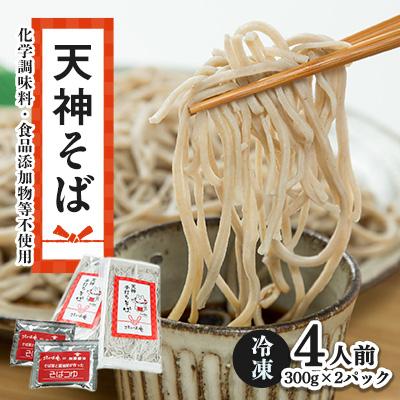 ふるさと納税 磐田市 【ことのは庵からこだわりの手打ちそばをお届け】天神そば4人前【冷凍便】