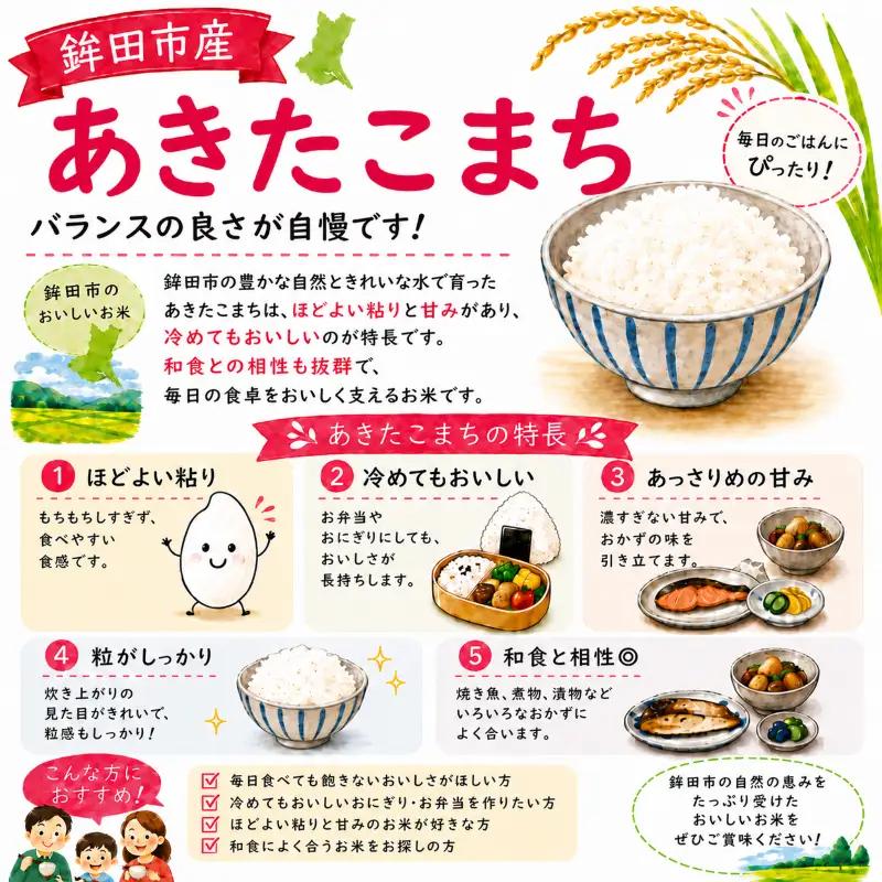 【精米】 ブランド米 5kg あきたこまち コメおこめ 令和7年産 精米 白米