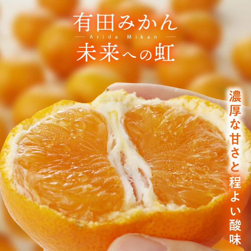 有田みかん「未来への虹」10kg 送料無料 産地直送