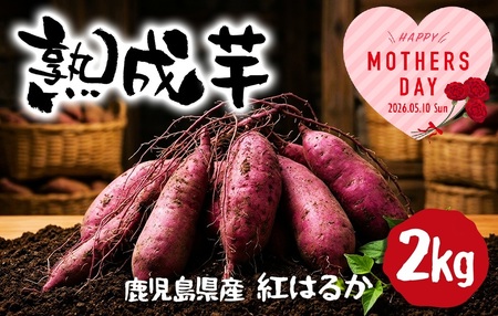 W-2105-mo2026／＜2026母の日ギフト＞熟成芋 (紅はるか 生芋) 2kg