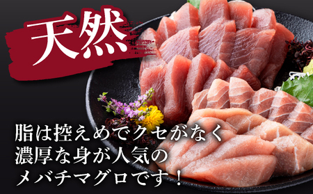 天然マグロ 中トロ・赤身　柵 【 １kg セット (１００ｇ×１０pc)】 サク さく メバチ 天然 マグロ 鮪 まぐろ 100% 冷凍 刺身 海鮮 丼 刺し身 小分け 高知 室戸 19000円