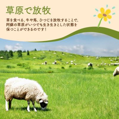 ふるさと納税 阿蘇市 阿蘇地域で生産した貴重な国産羊肉のジンギスカン 600g(300g×2パック) |  | 02