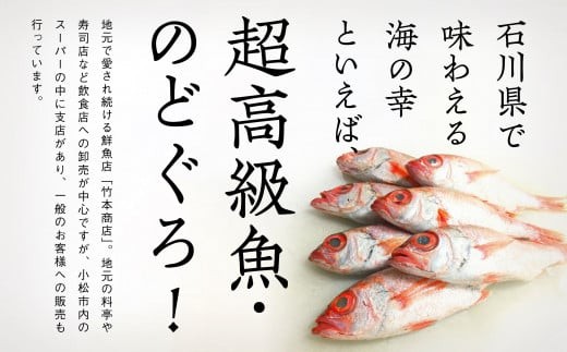 【日本海の高級魚】のどぐろ一夜干し 3尾 要冷凍｜干物 ひもの ノドグロ 詰め合わせ 小松市 石川県 【株式会社竹本商店】