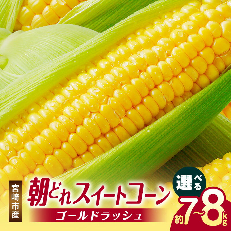 【ふるさと納税】《2026年発送 先行予約》【選べる内容量】【数量・期間限定】宮崎市産朝どれスイートコーン（ゴールドラッシュ）とうもろこし コーン 野菜 新鮮 甘い おいしい 産地直送 高糖度 グルメ お取り寄せ おすすめ 冷蔵 宮崎県産 宮崎県 宮崎市 送料無料