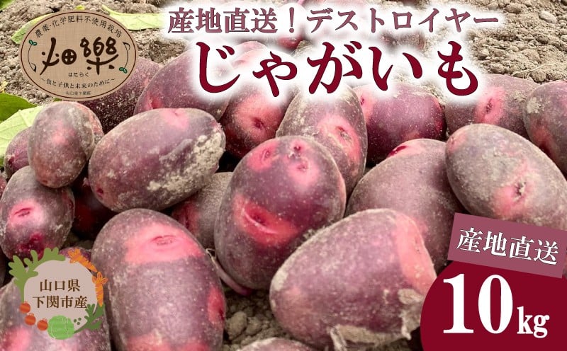 
            じゃがいも 10kg デストロイヤー 【2026年1月以降順次発送】 旬のお野菜お届け 産地直送 野菜 農家直送 季節限定 芋 いも 露地野菜 やさい サラダ コロッケ ジャーマンポテト じゃがバター ポテトサラダ 有機 季節の野菜 ～食と子供と未来のために～～食卓に笑顔と彩りを～ 農薬 化学肥料 不使用 下関 山口
          