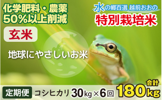 【令和8年産 新米】【6ヶ月定期便】こしひかり 30kg × 6回 計 180kg【玄米】減農薬・減化学肥料 「特別栽培米」－地球にやさしいお米－