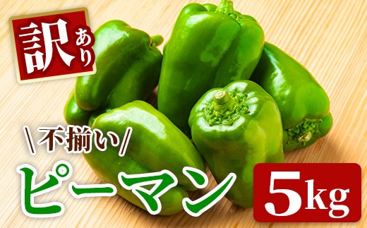《 朝採れ / 農家直送 》【訳あり】ふぞろいピーマン 5kg ピーマン 新鮮野菜 新鮮 サラダ 野菜 BBQ 規格外 訳あり お取り寄せ 美味しい 料理 おうちごはん 新鮮 国産 日本産 岩手県 一関市 東北