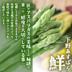 【先行予約】下野あすぱら『鮮』 Lサイズ 1kg  | 先行予約 アスパラ アスパラガス 野菜 選べる内容量 旬野菜 とれたて 春 人気 送料無料 栃木県 下野市