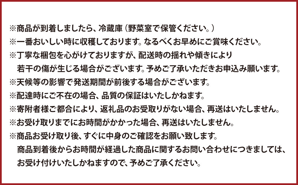 糖度18度以上を厳選してお届け！熊本県産 シャインマスカット2房