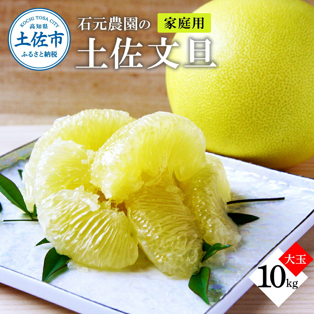 【ふるさと納税】石元農園の土佐文旦 家庭用 大玉 約10キロ 10kg 3L 4Lサイズ 文旦 ブンタン ぶんたん 柑橘 かんきつ 柑橘類 ミネラル ビタミン みかん フルーツ デザート おやつ 果物 高知 名物 傷 汚れ 家庭用 ご自宅用 常温 配送 ふるさとのうぜい 故郷納税 土佐市 高知