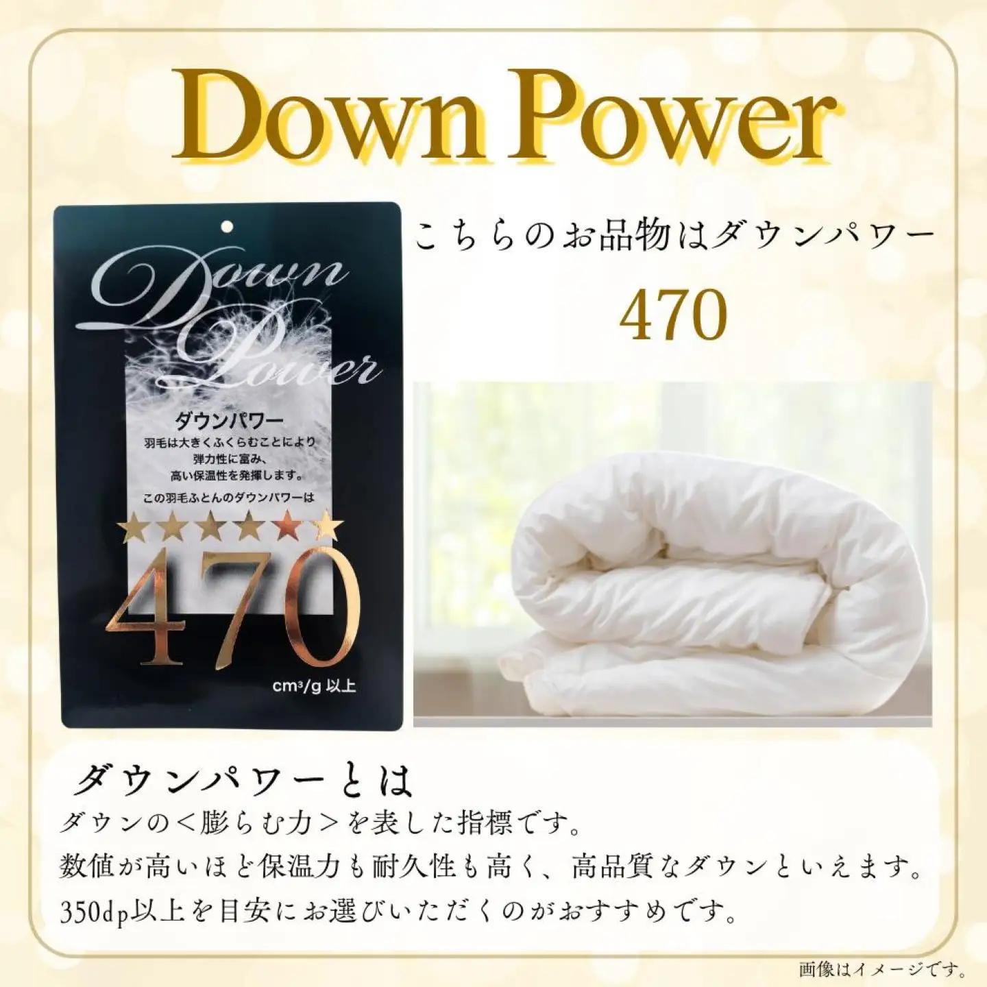 羽毛掛け布団 キング ポーランド産マザーグース95％ ダウンパワー470 羽毛布団 CK351