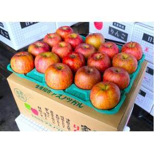 【26年6月出荷予定】平均糖度13度以上! サンふじ 約5kg 訳あり CA貯蔵 クール便【配送不可地域：離島・沖縄県】【1612836】