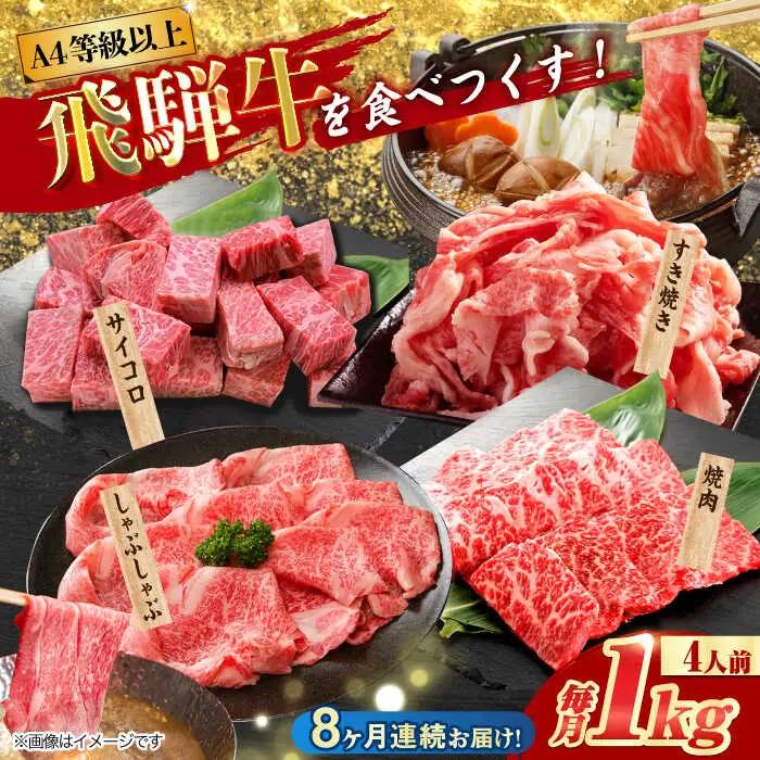 【8回定期便】 飛騨牛 プレミアム 定期便 4人前 ( しゃぶしゃぶ × すき焼き × サイコロステーキ × 焼肉 ) 各1kg [TAZ049]すき焼き