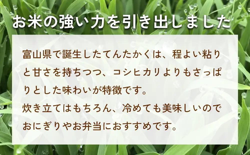 米 令和7年産 富山県氷見産 てんたかく 白米 10kg