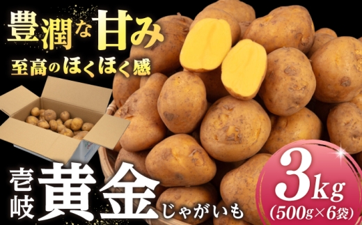 【先行予約】壱岐黄金じゃがいも 3kg（500g×6袋）【2027年2月中に発送】《壱岐市》【壱岐市農業協同組合】 じゃがいも ジャガイモ ポテト 野菜 季節の野菜 夏野菜 冬野菜 [JBO167]