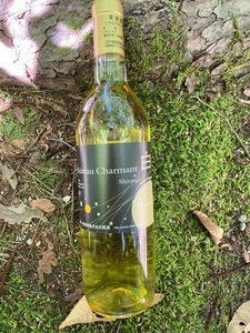 北杜のマニアックな白ワイン 4本セット シャルマンワイン モンデ酒造 720ml 750ml お酒 アルコール 母の日 父の日 明野 ブドウ [h062]