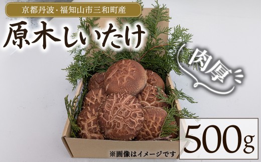 ＜2026年12月上旬以降順次発送予定＞京都丹波・福知山市三和町産 原木しいたけ (500g) 【fc-FB005-A】【丹波かなまろんふぁーむ】