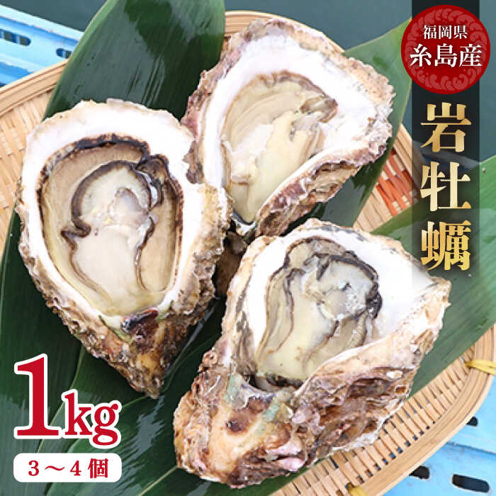 【ふるさと納税】【特大!!】岩牡蠣 糸島産 1kg (約3~4個) 糸島 / JF糸島 糸島漁業協同組合 [AKD006] 8000円 8千円 岩カキ 岩ガキ