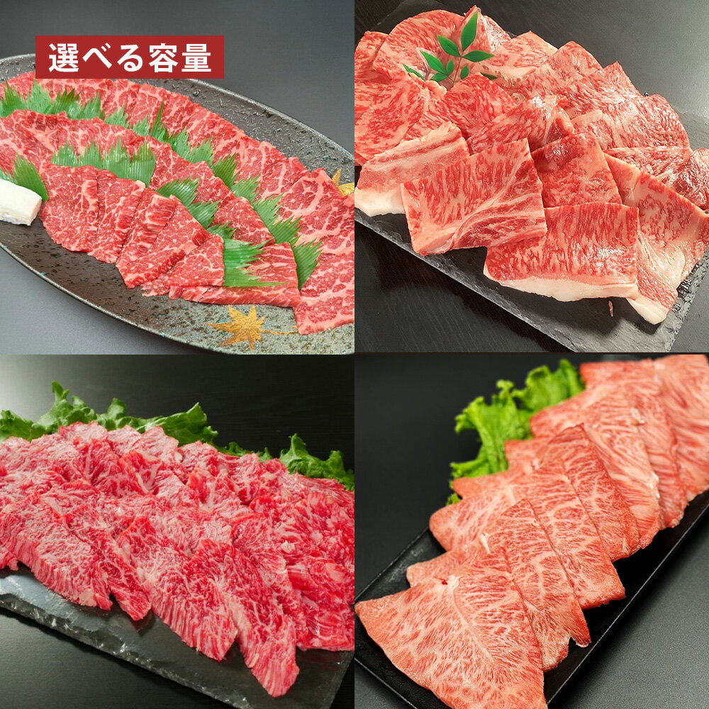【ふるさと納税】＜選べる内容量＞【焼肉食べ比べ】おおいた和牛（赤身・肩ロース・上カルビ・ミスジ） セット 詰め合わせ 計約1.6kg（各約400g）・計約3.2kg（各約800g） 和牛 牛肉 お肉 モモ ウデ 焼き肉 霜降り 希少部位 冷凍 国産 大分県 竹田市 送料無料
