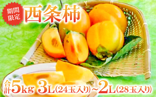 A-163 甘さたっぷり　益田特産　西条柿