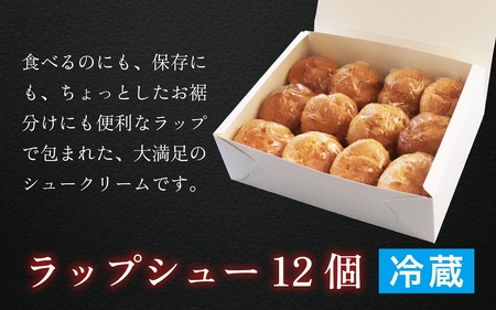 【レビューキャンペーン】ラップシュー 12個入り