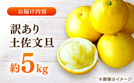 【先行予約】高知県産 訳あり 土佐文旦 約5kg 〈2027年1月下旬頃から発送〉文旦 傷 文旦 シミの訳あり文旦 大容量 ぶんたん 文旦 訳あり わけあり 果物 【株式会社　四国健商】[ATAF14