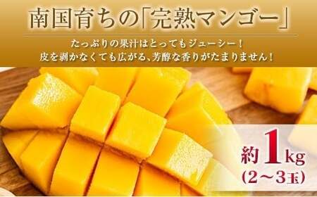 ◆宮崎県産 マンゴー＆ライチセット（合計約1.4kg）