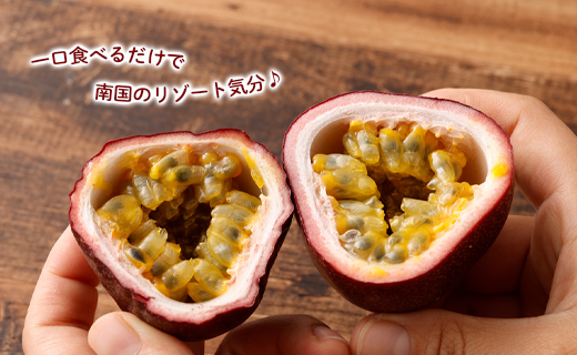 【2026年発送】先行受付 天城町 南部ガーデン パッションフルーツ 家庭用 1kg 果物 果実 フルーツ 常温 国産 九州 鹿児島県 天城町