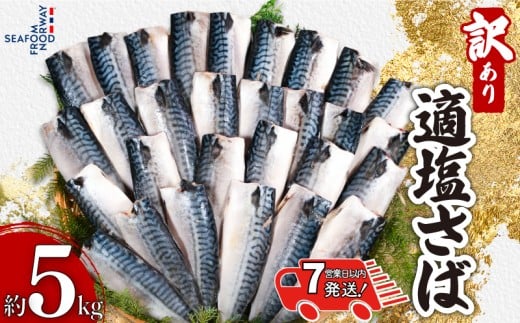 【 スピード配送 】 訳あり 適塩さば 5kg 塩さば 塩鯖 さば 鯖 さばフィーレ 鯖フィーレ さばフィレ 鯖フィレ 規格外 切り身 切身 無添加 添加物不使用 ノルウェーサバ ノルウェー産 小分け 個別冷凍 お弁当 惣菜 おかず 塩焼き 焼きさば 味噌煮 調理用 料理 冷凍 冷凍品 長期保存 お取り寄せ グルメ 魚 ふるさと納税 ふるさと納税さば 送料無料 千葉県 銚子市 エドノフーズ